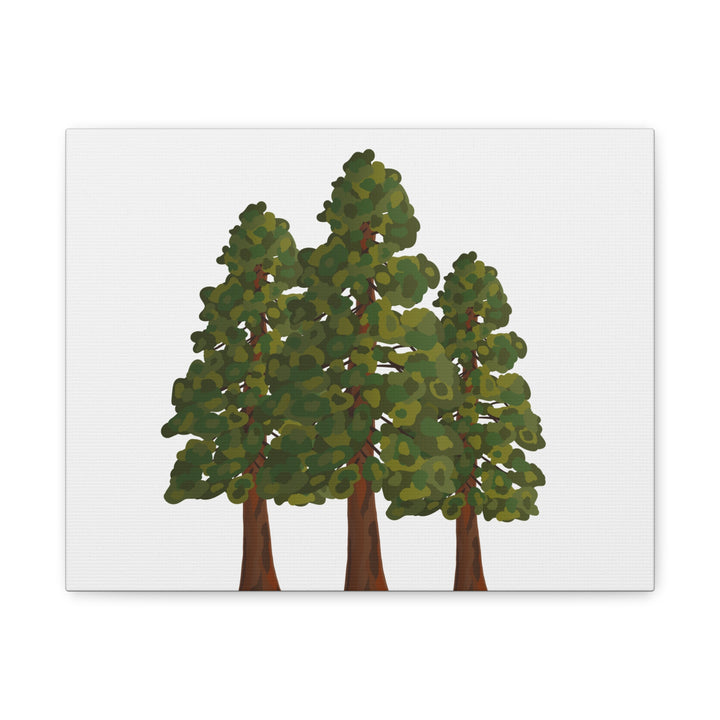 Coastal Redwoods Matte Canvas Print On 1.25 Inch Stretched Canvas For Serene Forest Wall Art In Living Rooms