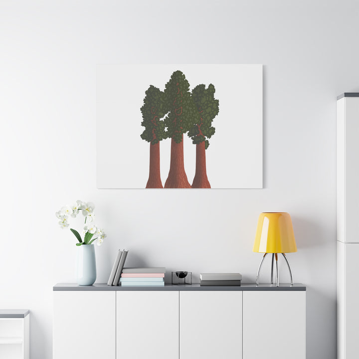 Giant Sequoias Canvas Print – Wall Art