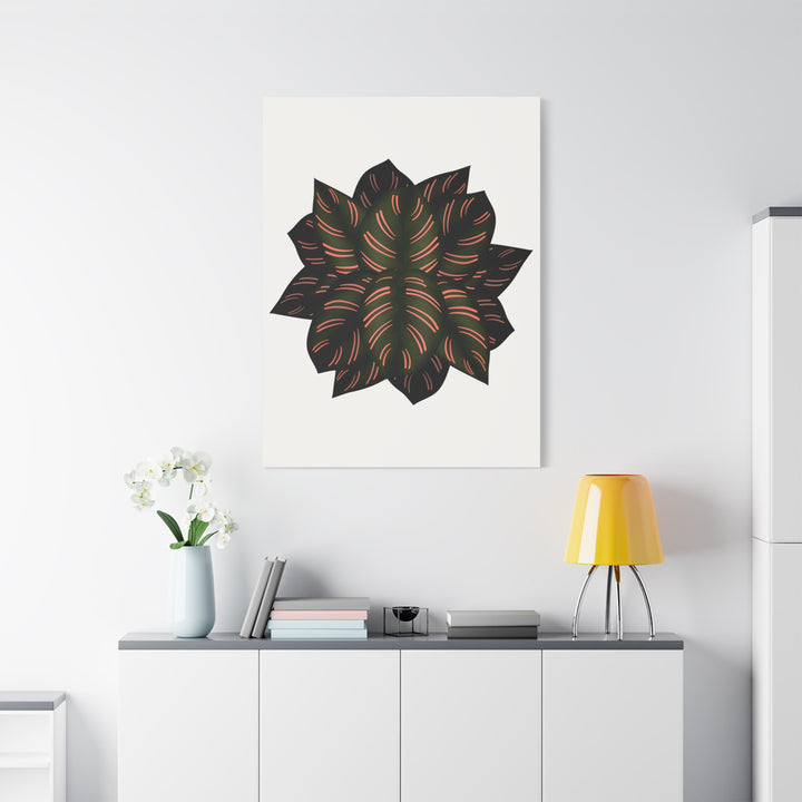 Calathea Pinstripe Canvas Botanical Wall Art Print On Stretched Cotton Canvas For Living Room Decor