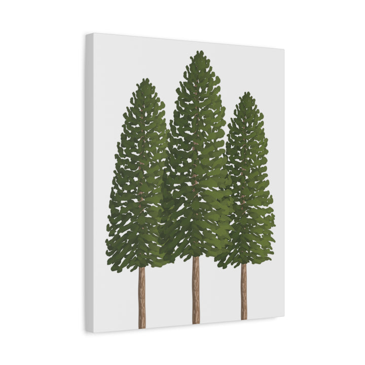 Three Ponderosa Pine Canvas Wall Art Matte Stretched Print Minimalist Forest Landscape Decor