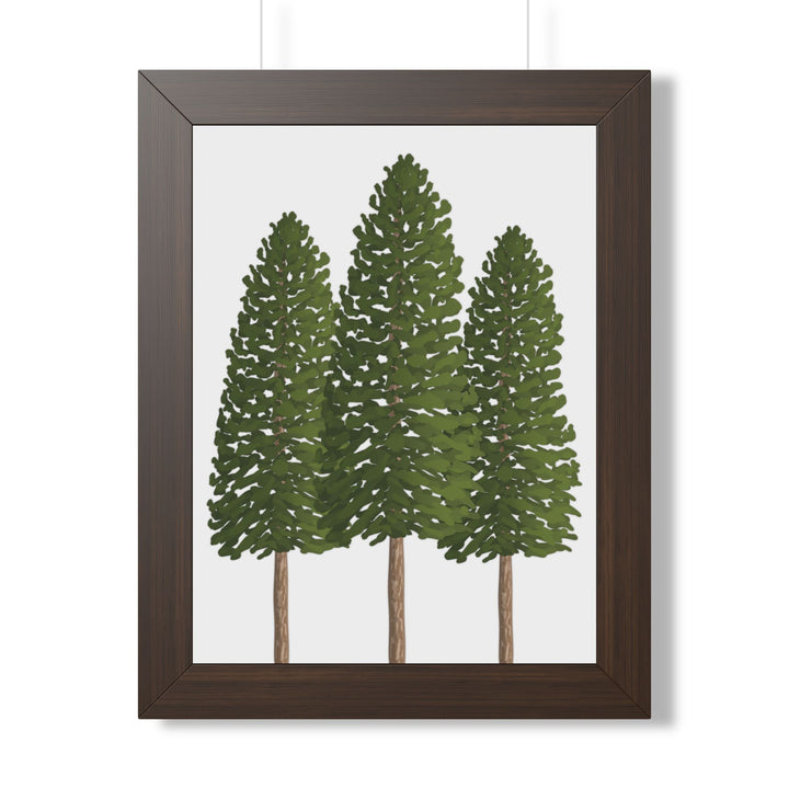 Ponderosa Pine Framed Print – Wall Art