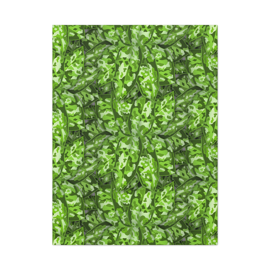 Aglaonema Pictum Canvas Wall Art Rare Plant Print Matte Finish For Modern Home Decor