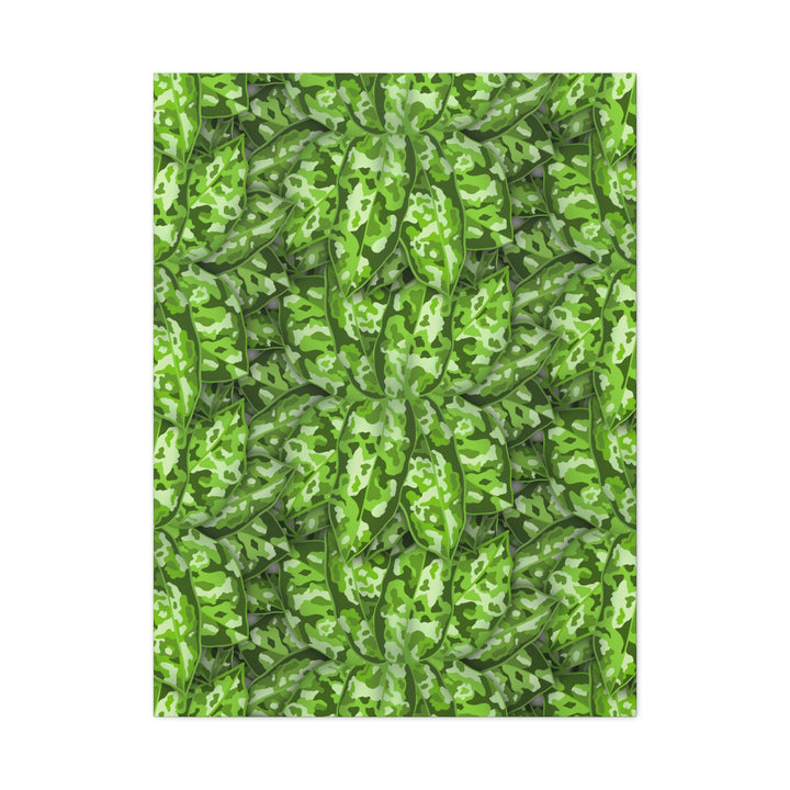 Aglaonema Pictum Canvas Wall Art Rare Plant Print Matte Finish For Modern Home Decor