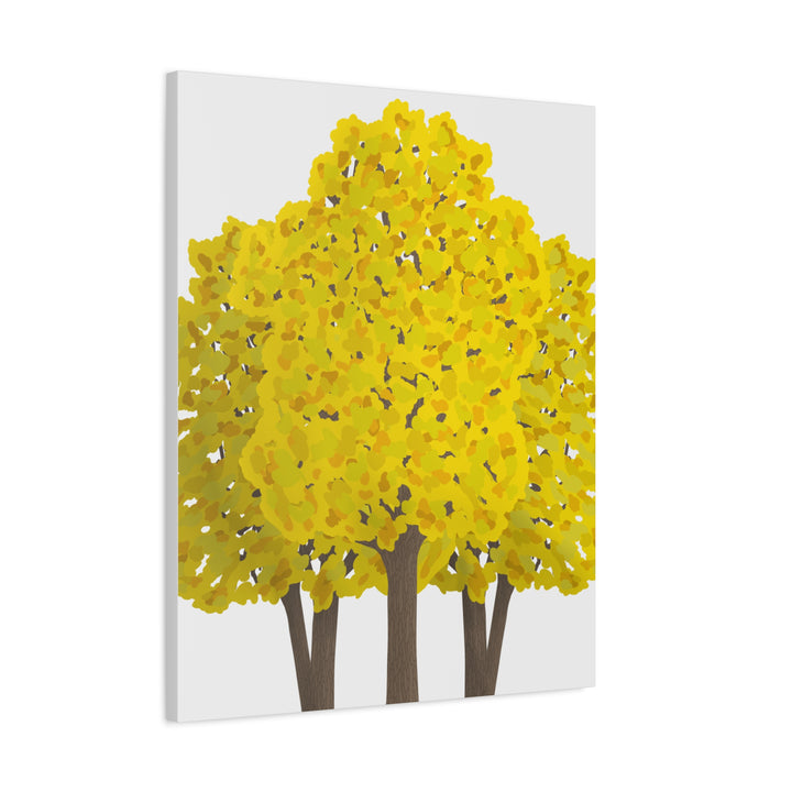 Big Leaf Maple Canvas Print – Wall Art