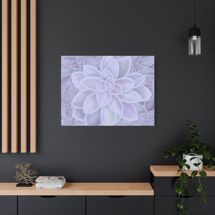 Graptopetalum Murasaki Succulent Canvas Art Print Pastel Purple Rosette Indoor Plant Decor