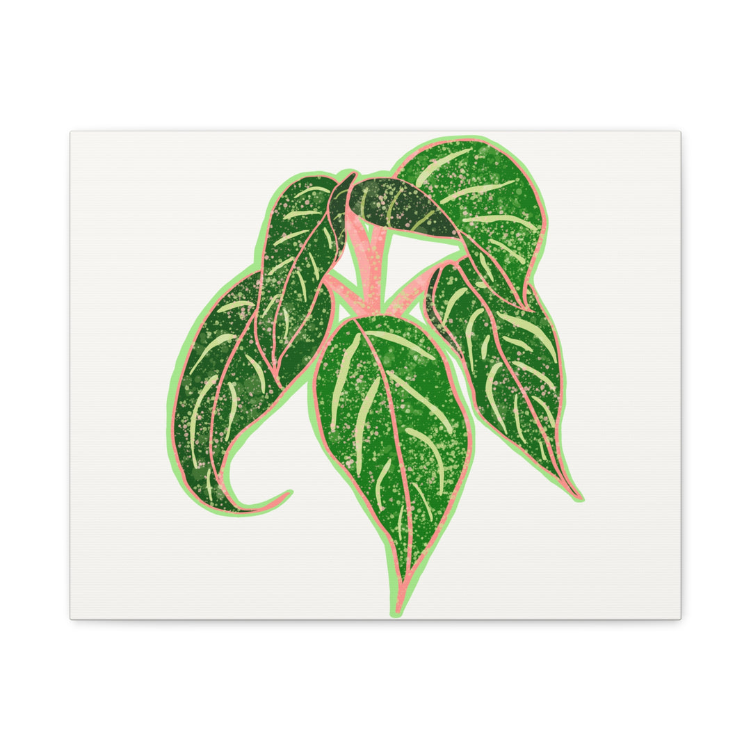 Aglaonema Sparkling Sarah Botanical Canvas Print On Matte Stretch Canvas For Modern Living Room Decor