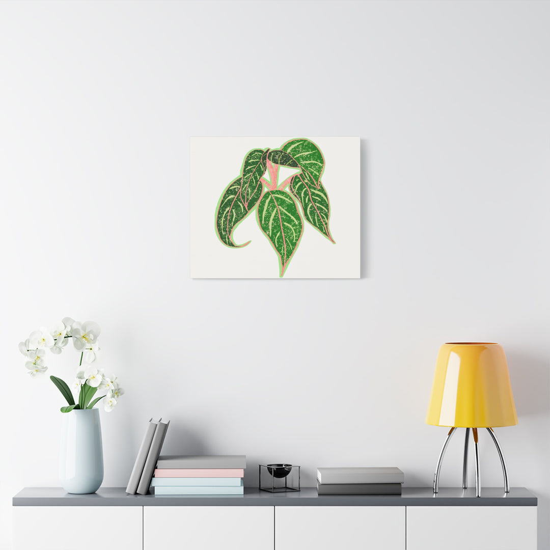 Aglaonema Sparkling Sarah Botanical Canvas Print On Matte Stretch Canvas For Modern Living Room Decor