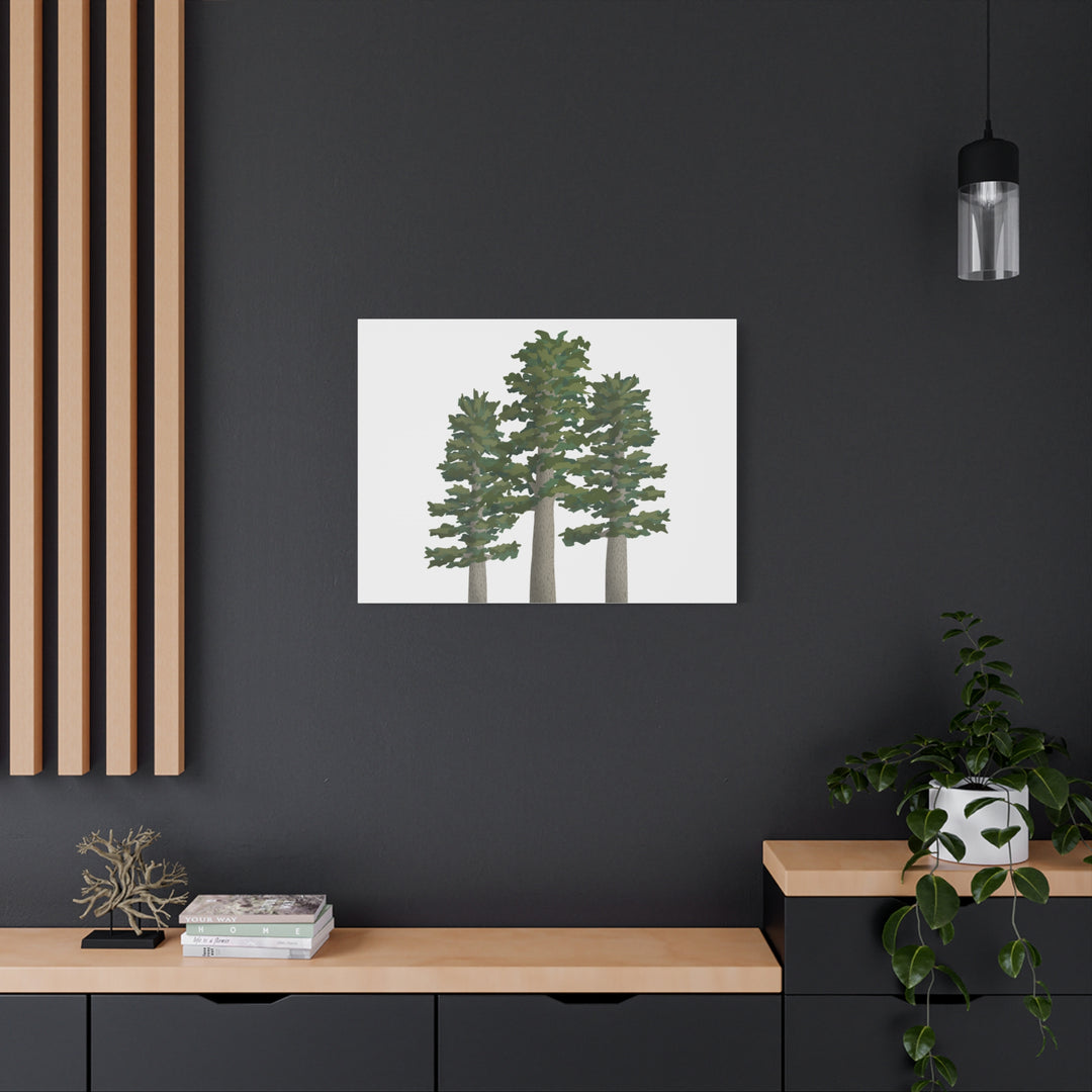 Sitka Spruce Canvas Print – Wall Art