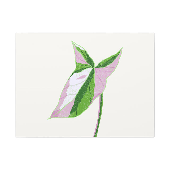Syngonium Tricolor Canvas Print – Botanical Wall Art - The Potted Pixel