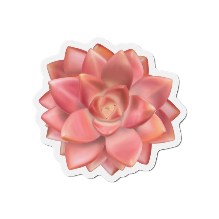 Graptosedum California Sunset Succulent Magnet