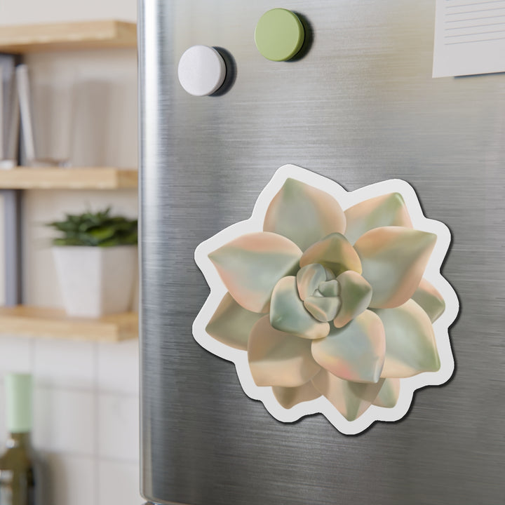 Graptoveria Titubans Succulent Magnet