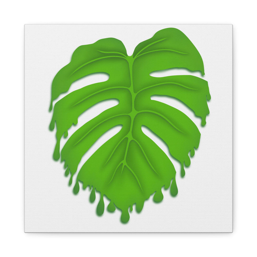 Melting Monstera Canvas Wall Art Large Botanical Print On Premium Cotton With Matte Finish For Indoor Decor