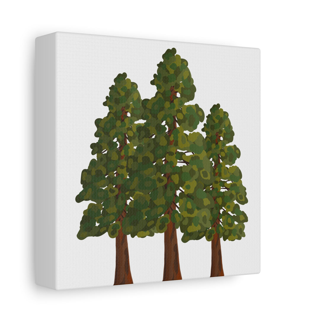 Coastal Redwoods Matte Canvas Print On 1.25 Inch Stretched Canvas For Serene Forest Wall Art In Living Rooms