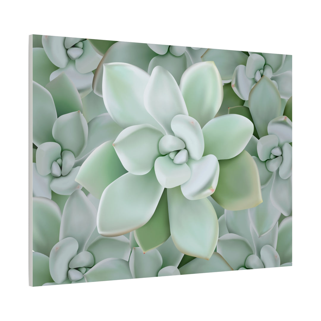 Pachyveria Haagei Succulent Pattern Canvas Art for Modern Home Decor 16x20 Matte Print