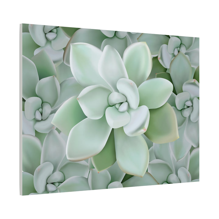 Pachyveria Haagei Succulent Pattern Canvas Art for Modern Home Decor 16x20 Matte Print