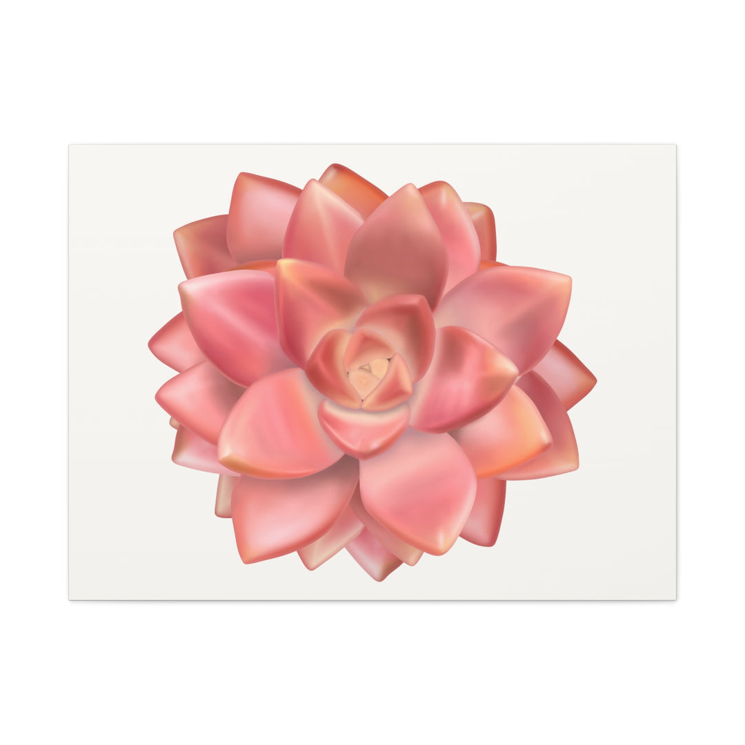 Succulent Canvas Art California Sunset Rosette Botanical Wall Art Print The Potted Pixel