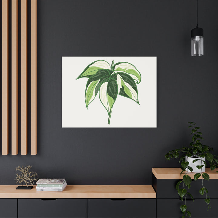 Philodendron Canvas Print Cream Splash Variegated Plant Art On Matte Cotton Canvas For Home Wall Decor