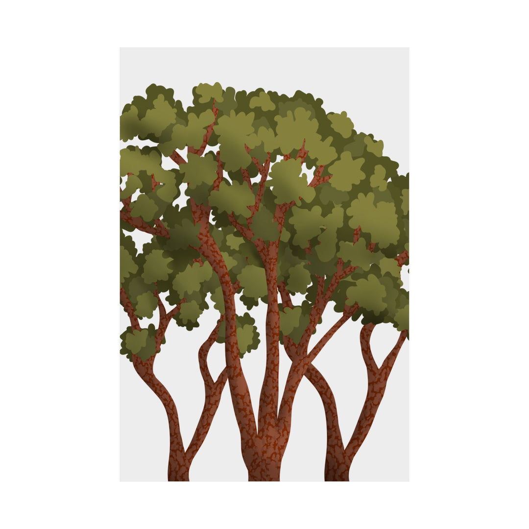 Pacific Madrone Print – Unframed Wall Art