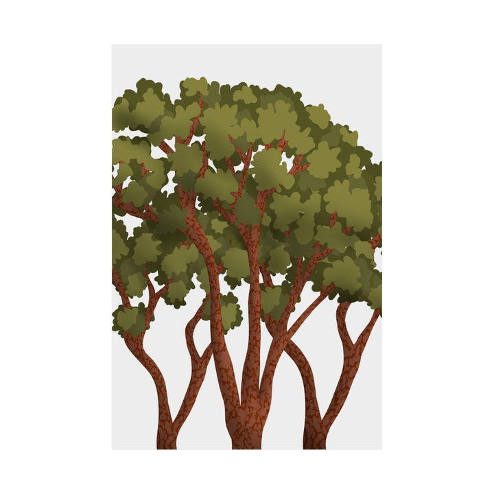 Pacific Madrone Print – Unframed Wall Art