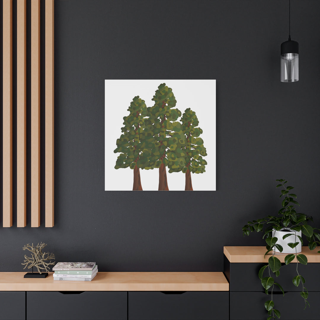 Coastal Redwoods Matte Canvas Print On 1.25 Inch Stretched Canvas For Serene Forest Wall Art In Living Rooms