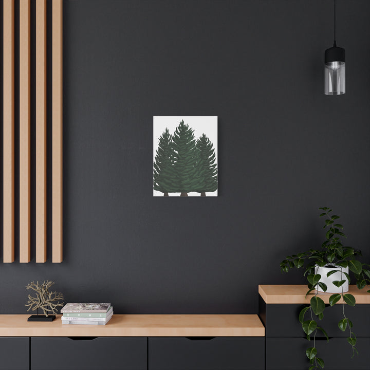 Douglas Fir Canvas Print – Wall Art