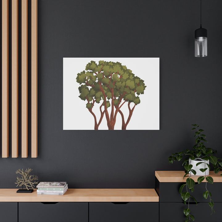 Pacific Madrone Canvas Print – Wall Art
