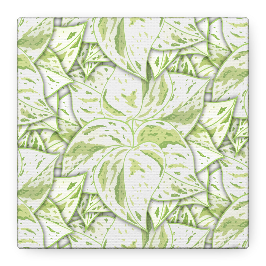 Snow Queen Pothos Canvas Print With Variegated White Leaves In Matte Finish For Modern Home Decor