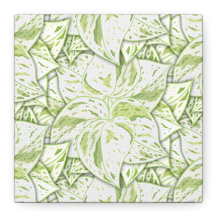 Snow Queen Pothos Canvas Print With Variegated White Leaves In Matte Finish For Modern Home Decor