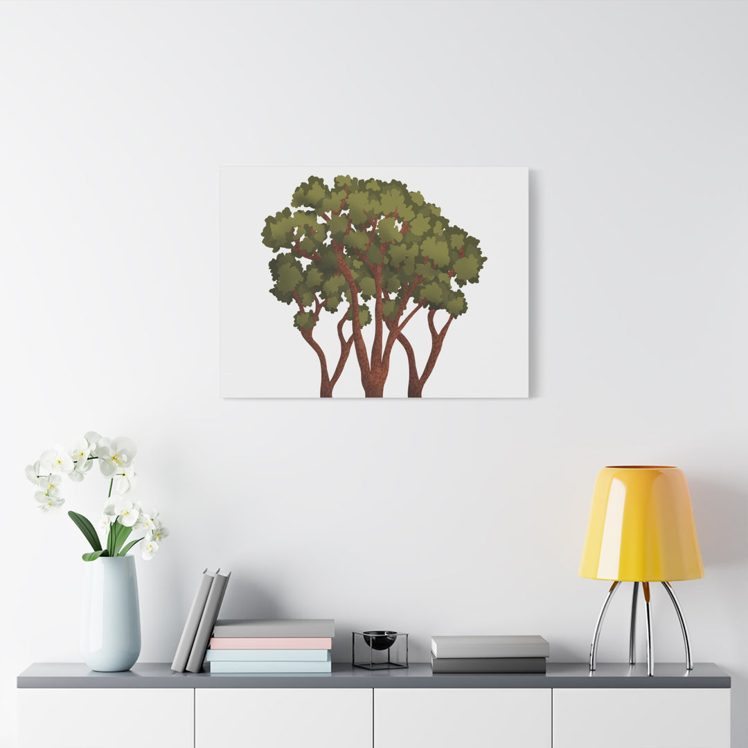 Pacific Madrone Canvas Print – Wall Art