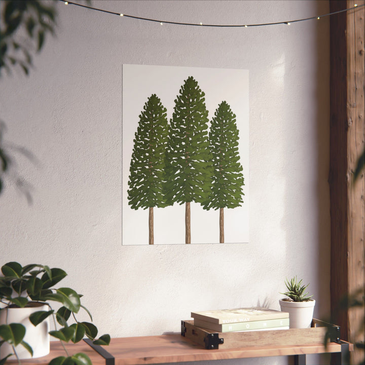 Ponderosa Pine Print – Unframed Wall Art