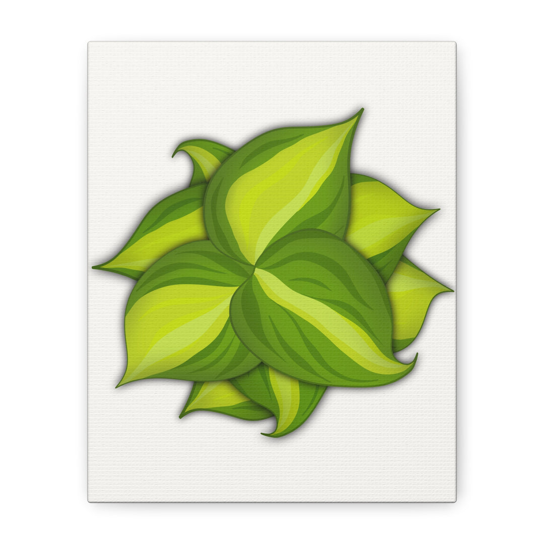 Philodendron Brasil Canvas Print Matte Stretched Canvas Indoor Plant Art For Modern Greenery Decor