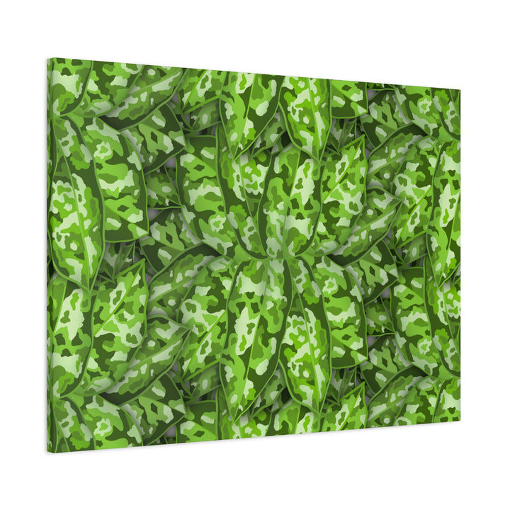 Aglaonema Pictum Canvas Wall Art Rare Plant Print Matte Finish For Modern Home Decor