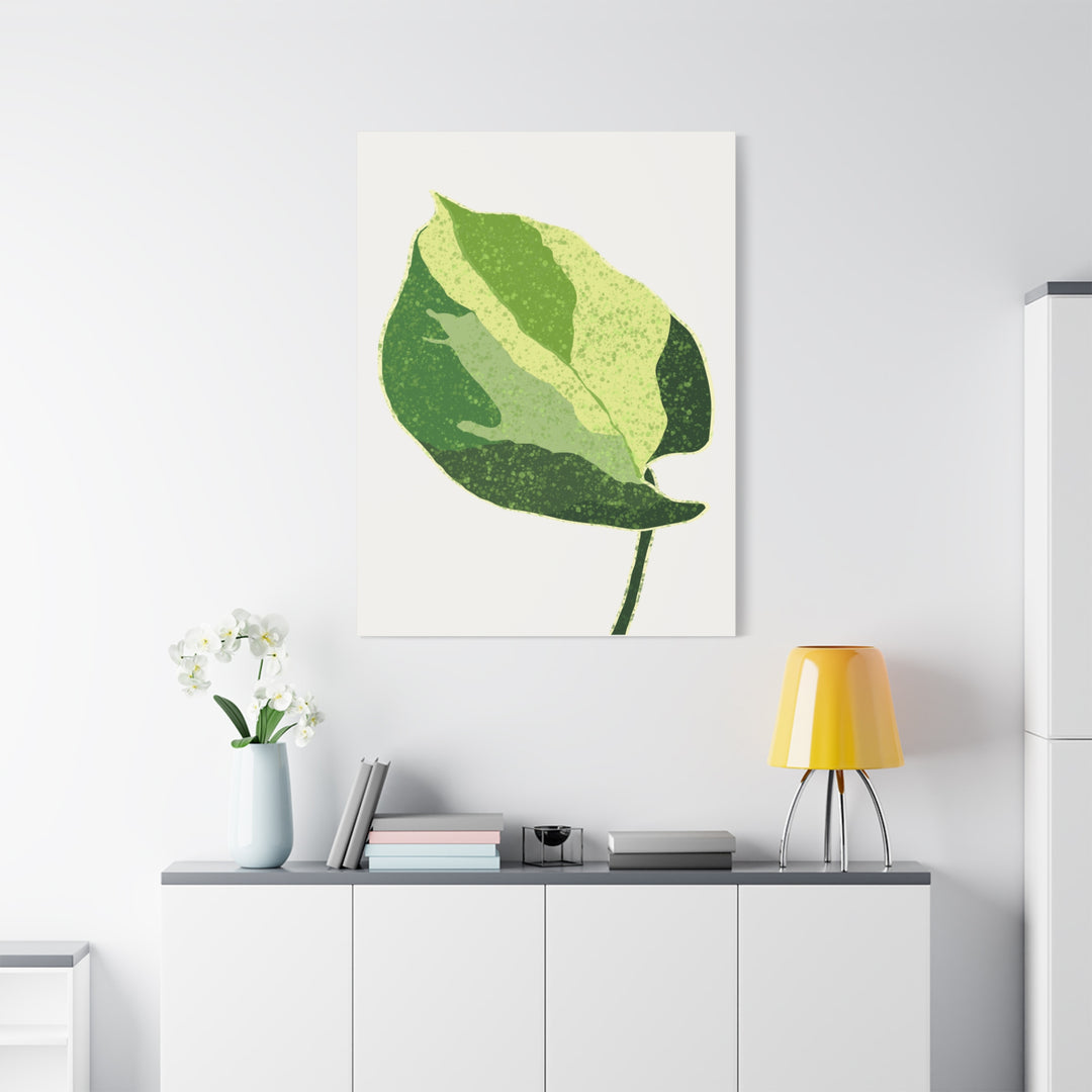Manjula Pothos Botanical Canvas Print Matte Finish Stretched Canvas Wall Art 1.25 Inch Depth