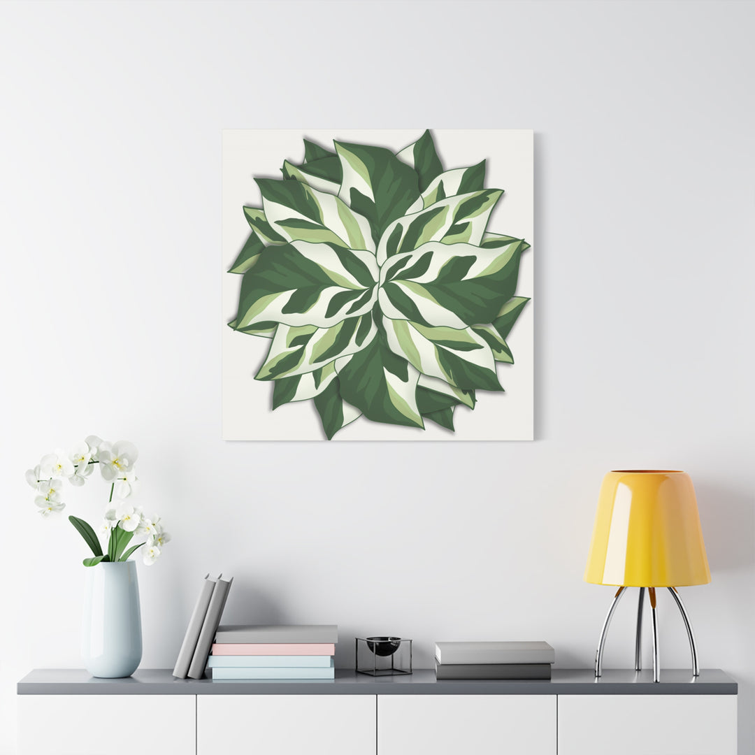 Calathea White Fusion Canvas Botanical Art Print On Stretched Cotton Canvas For Indoor Wall Decor