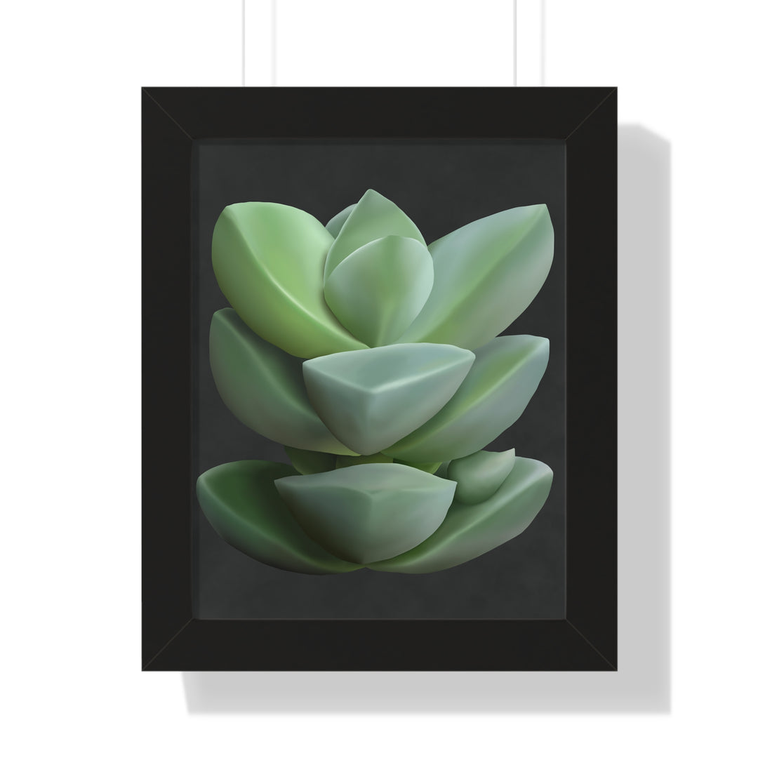 Crassula Succulent Framed Poster Vertical Botanical Wall Art
