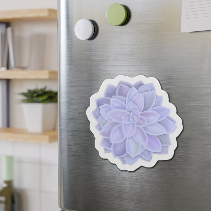 Graptopetalum Murasaki Succulent Magnet