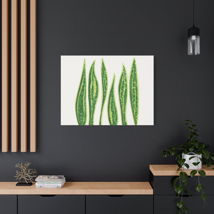 Snake Plant Canvas Print Matte 1.25 Inch Stretch Canvas Wall Art For Living Room Decor
