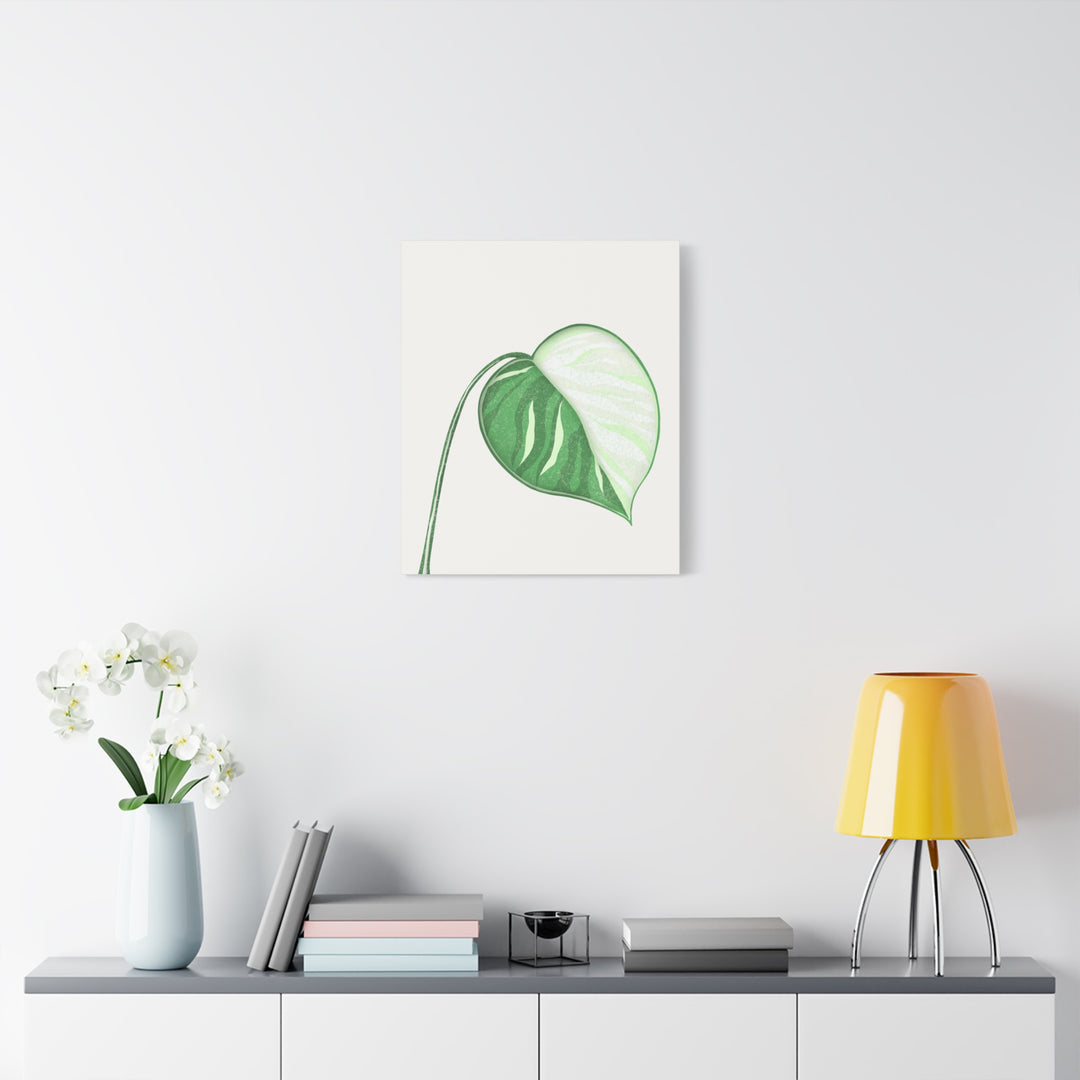 Monstera Albo Canvas Large Stretched Premium Quality Cotton Canvas Wall Art Tropical Leaf Poster Decor