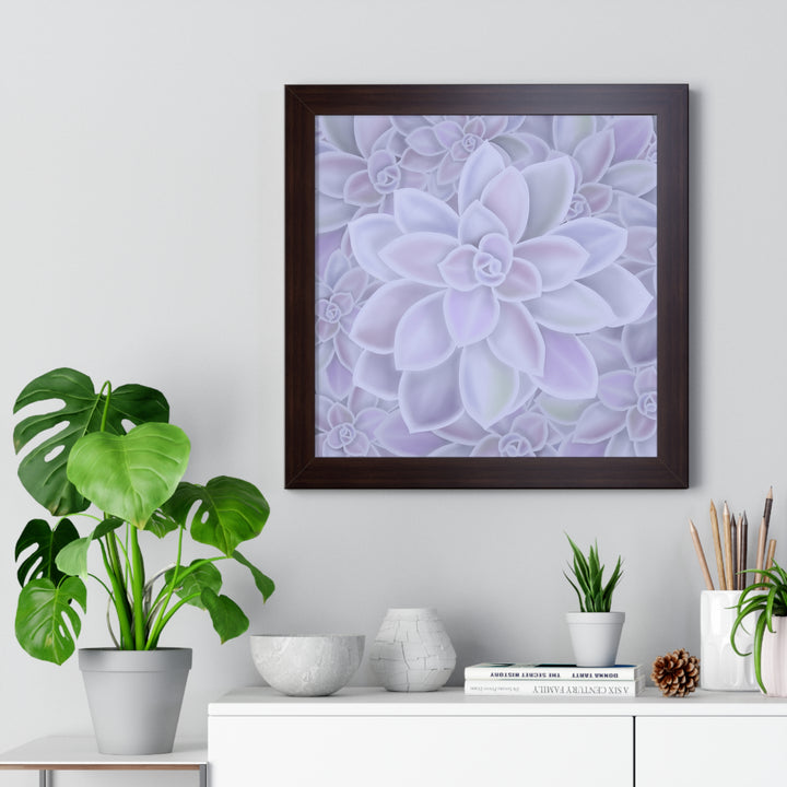 Graptopetalum Murasaki Succulent Framed Print – Botanical Wall Art - The Potted Pixel