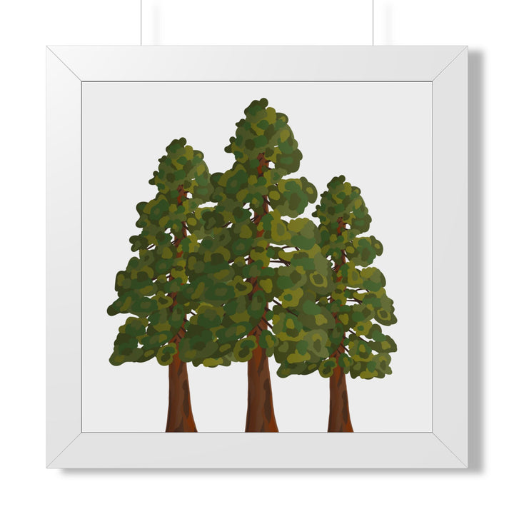 Coastal Redwood Framed Print – Wall Art