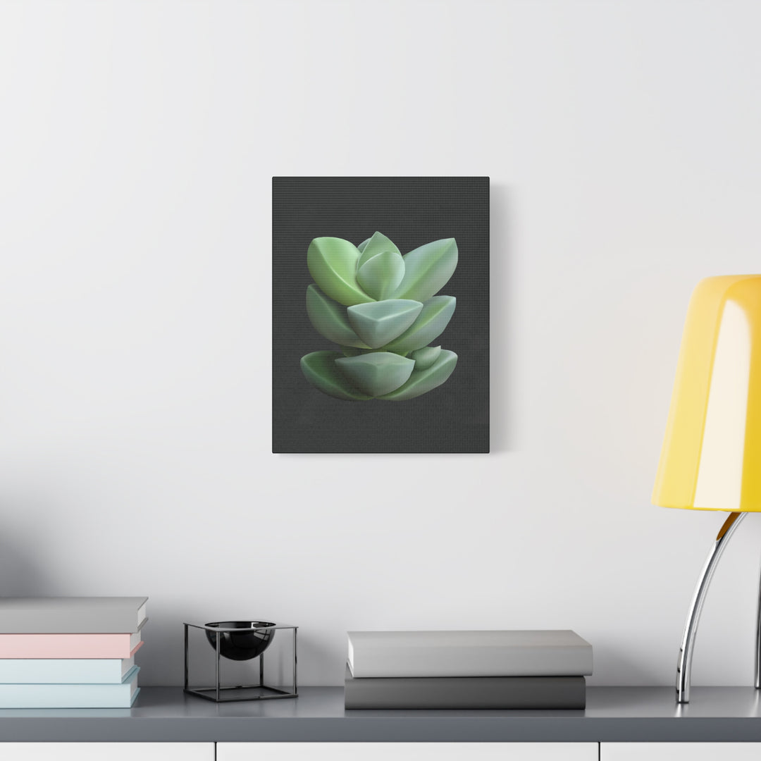 Crassula Canvas Print – Botanical Wall Art