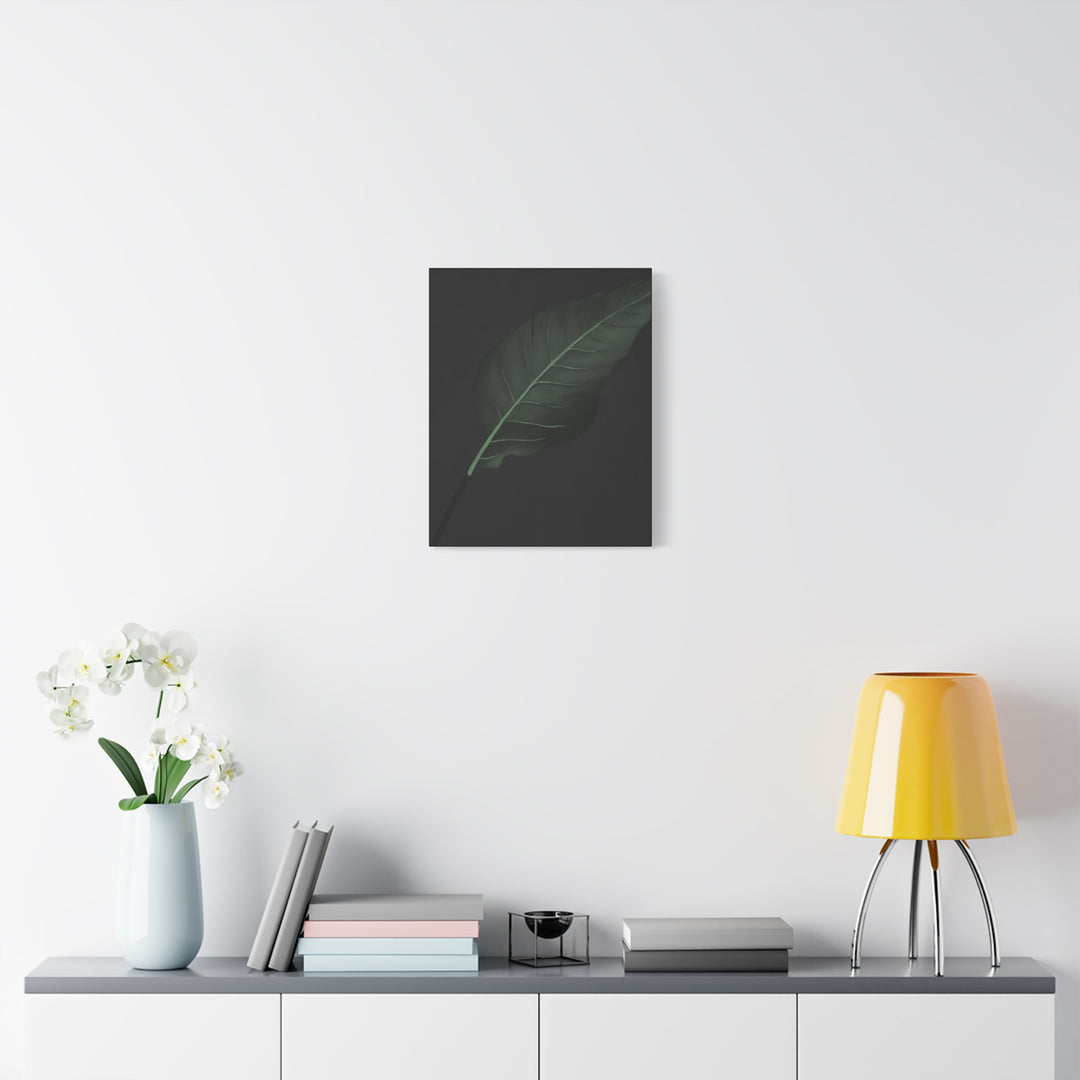 Bird of Paradise Canvas Print – Botanical Wall Art