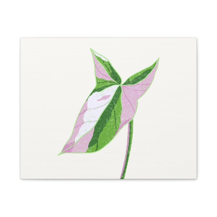 Syngonium Tricolor Canvas Print – Botanical Wall Art - The Potted Pixel