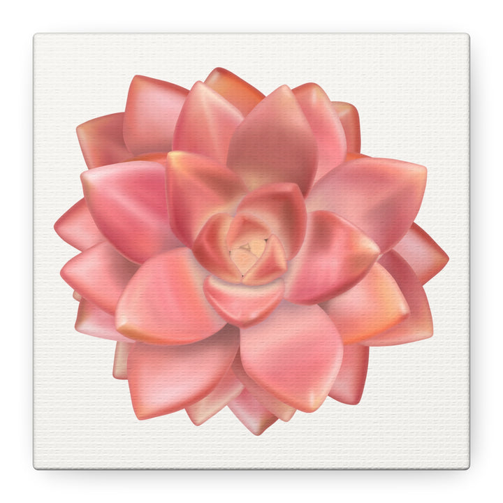 Succulent Canvas Art California Sunset Rosette Botanical Wall Art Print The Potted Pixel