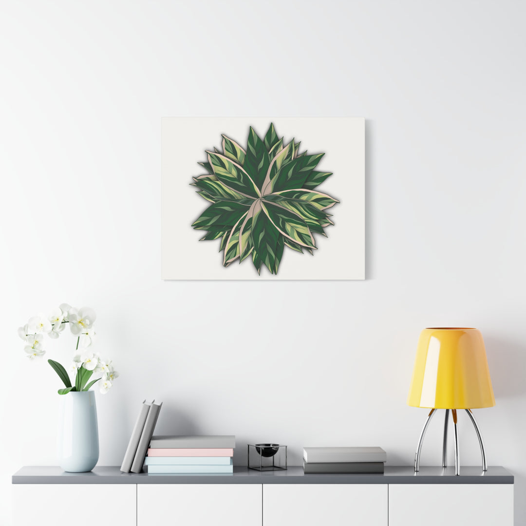 Stromanthe Triostar Canvas Wall Art Premium Matte Finish On Durable 1.25 Inch Frame For Vibrant Indoor Tropical Decor