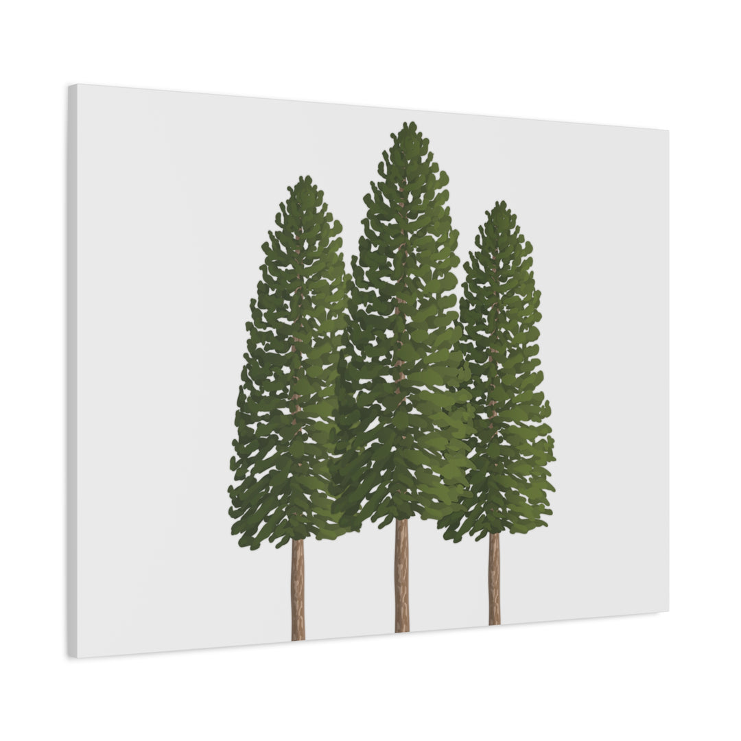 Three Ponderosa Pine Canvas Wall Art Matte Stretched Print Minimalist Forest Landscape Decor