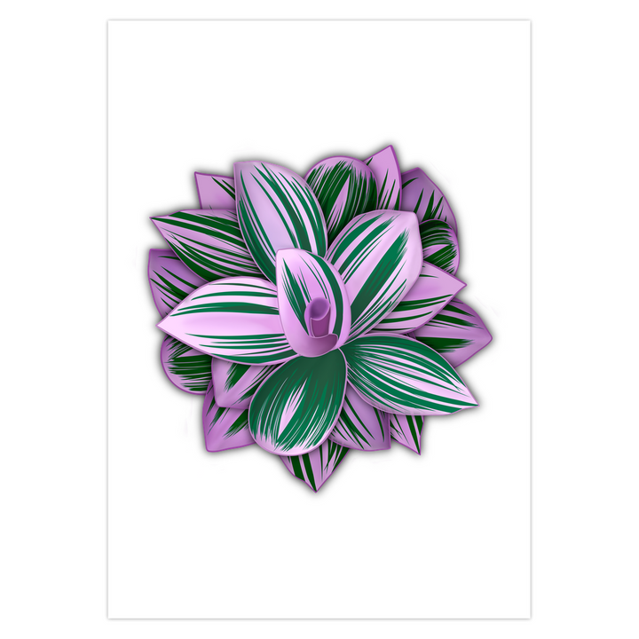 Tradescantia Nanouk Card – Floral Greeting Card with Colorful Variegated Foliage