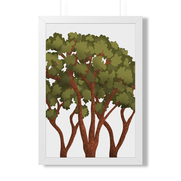 Pacific Madrone Framed Print – Wall Art