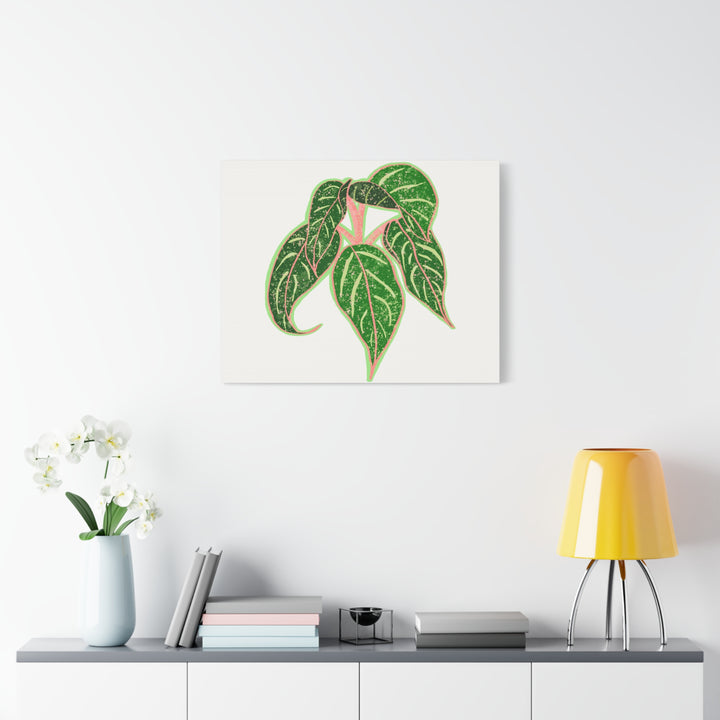 Aglaonema Sparkling Sarah Botanical Canvas Print On Matte Stretch Canvas For Modern Living Room Decor