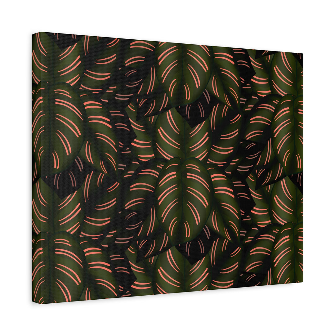 Calathea Pinstripe Canvas Print With Matte Finish Stretched Botanical Wall Art For Living Room Decor